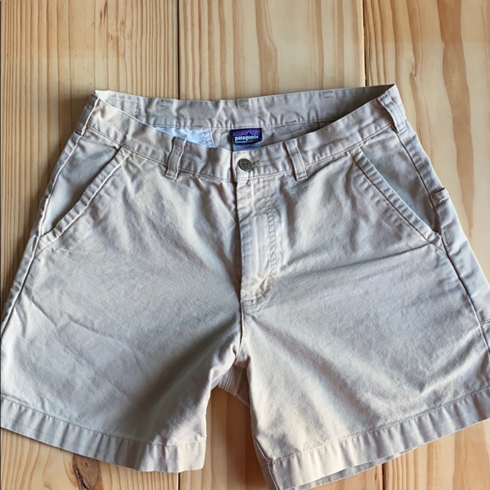 Patagonia Shorts